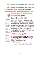 그레이아나토미 해부학의 제9권 5부 신경해부학,신경학. 텍스트책.Gray’s Anatomy . IX. Neurology. part 5. Text Book ,by Henry Gray 표지 이미지