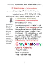 그레이아나토미 해부학의 제11권 4부 내분비기관 학 도해 그림책.Gray’s Anatomy. XI. Splanchnology. 4. The Ductless Glandsl Apparatus Figure Book,by Henry Gr 표지 이미지