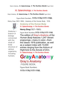 그레이아나토미 해부학의 제11권 4부 내분비기관 학 도해 그림책.Gray’s Anatomy. XI. Splanchnology. 4. The Ductless Glandsl Apparatus Figure Book,by Henry Gr