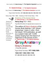 그레이아나토미 해부학의 제11권 2부 소화기 학 도해 그림책.Gray’s Anatomy. XI. Splanchnology. 2. The Digestive Apparatus Figure Book,by Henry Gray 표지 이미지