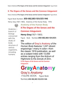 그레이아나토미 해부학의 제10권 감각기관및 외피外皮학 도해 그림책.Gray’s Anatomy . X. The Organs of the Senses and the Common Integument Figure Book by Henry