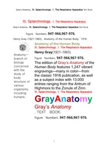 그레이아나토미 해부학의 제11권 1부 호흡기학 텍스트책.Gray’s Anatomy.. XI. Splanchnology. 1. The Respiratory Apparatus Text Book,by Henry Gray