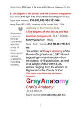 그레이아나토미 해부학의 제10권 감각기관및 외피外皮학 텍스트책.Gray’s Anatomy . X. The Organs of the Senses and the Common Integument Textbookby Henry Gray 표지 이미지