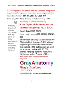 그레이아나토미 해부학의 제10권 감각기관및 외피外皮학 텍스트책.Gray’s Anatomy . X. The Organs of the Senses and the Common Integument Textbookby Henry Gray