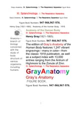 그레이아나토미 해부학의 제11권 1부 호흡기 학 도해 그림책.Gray’s Anatomy.. XI. Splanchnology. 1. The Respiratory Apparatus Figure Book,by Henry Gray 표지 이미지