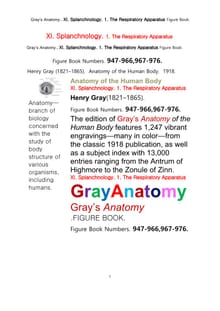 그레이아나토미 해부학의 제11권 1부 호흡기 학 도해 그림책.Gray’s Anatomy.. XI. Splanchnology. 1. The Respiratory Apparatus Figure Book,by Henry Gray