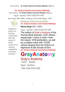 그레이아나토미 해부학의 제12권 신체표면해부학과 표면표시 텍스트 책.Gray’s Anatomy. XII. Surface Anatomy and Surface Markings. Text Book.byHenry Gray