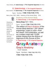 그레이아나토미 해부학의 제11권 3부 비뇨생식기 학 텍스트책.Gray’s Anatomy. XI. Splanchnology. 3. The Urogenital Apparatus Text Book,by Henry Gray 표지 이미지
