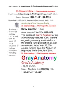 그레이아나토미 해부학의 제11권 3부 비뇨생식기 학 텍스트책.Gray’s Anatomy. XI. Splanchnology. 3. The Urogenital Apparatus Text Book,by Henry Gray