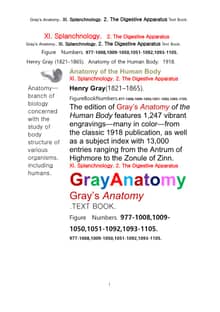 그레이아나토미 해부학의 제11권 2부 소화기관학 텍스트책.Gray’s Anatomy. XI. Splanchnology. 2. The Digestive Apparatus Text Book,by Henry Gray