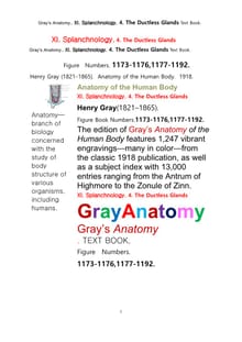 그레이아나토미 해부학의 제11권 4부 내분비기관 학 텍스트 책.Gray’s Anatomy. XI. Splanchnology. 4. The Ductless Glandsl Apparatus Text Book,by Henry Gray
