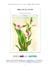 새들과 자연의 식물 동물 (Birds and all Nature, Vol. VI, No. 4, November 1899, by Various) 표지 이미지