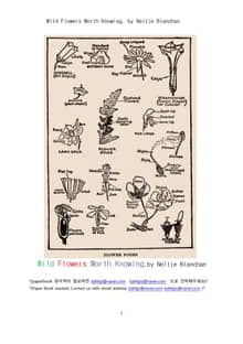 알아야할 가치가 있는 들꽃 야생초들 (Wild Flowers Worth Knowing, by Neltje Blanchan)