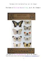 영국과 영연방국가의 나비들.The Book of British Butterflies, by A. M. Stewart 표지 이미지