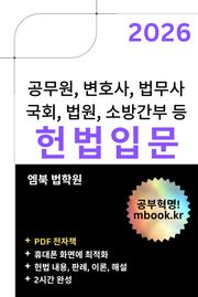 헌법입문