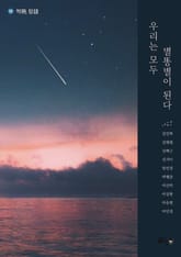 우리는 모두 별똥별이 된다 표지 이미지