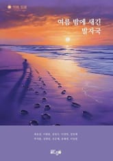 여름 밤에 새긴 발자국 표지 이미지