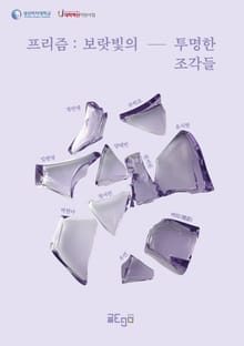 프리즘 : 보랏빛의 투명한 조각들