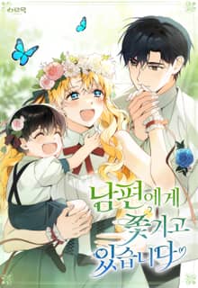 남편에게 쫓기고 있습니다