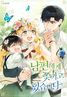 남편에게 쫓기고 있습니다