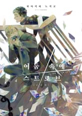 어둠 속에 스트로브 (신장판)