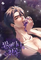 발렌티나의 천국 [개정판] 표지 이미지