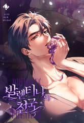 발렌티나의 천국 [개정판] 표지 이미지