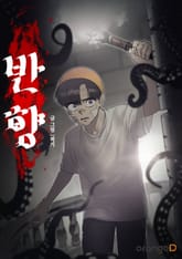 반향 표지 이미지