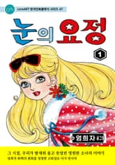 눈의 요정 표지 이미지