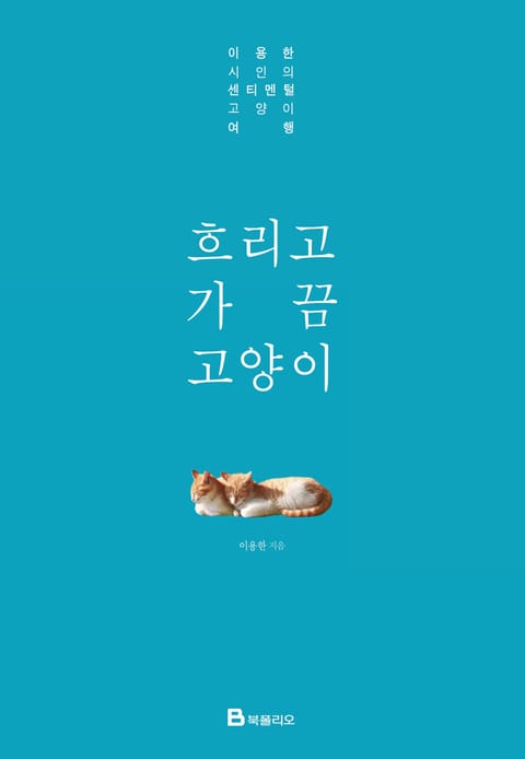 흐리고 가끔 고양이 표지 이미지