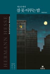 헤르만 헤세 선집 12 잠 못 이루는 밤 표지 이미지