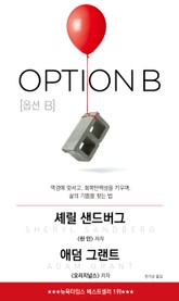 옵션 B 표지 이미지
