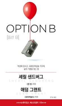 옵션 B