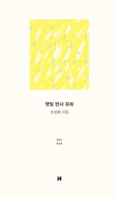 햇빛 반사 유희 표지 이미지