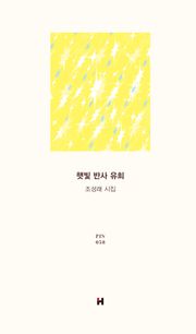 햇빛 반사 유희