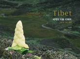 세계의지붕 티베트 표지 이미지