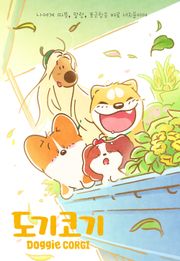 도기코기