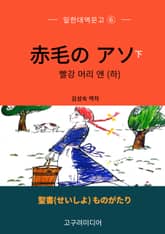 일한대역문고 빨강 머리 앤(하) 표지 이미지