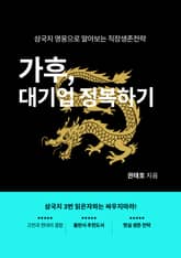 가후 대기업 정복하기 표지 이미지