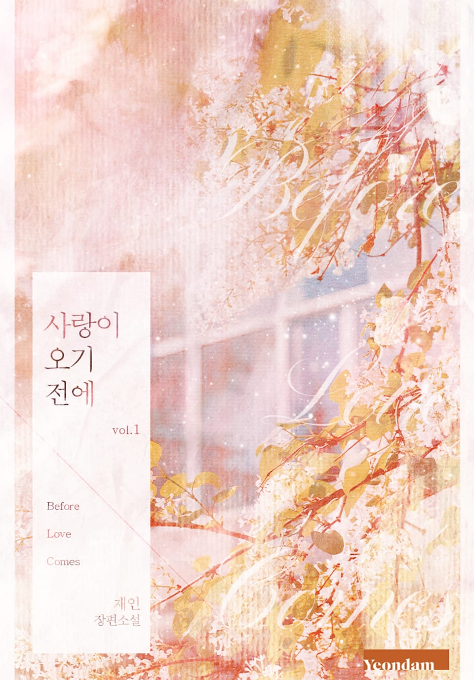 사랑이 오기 전에 1권