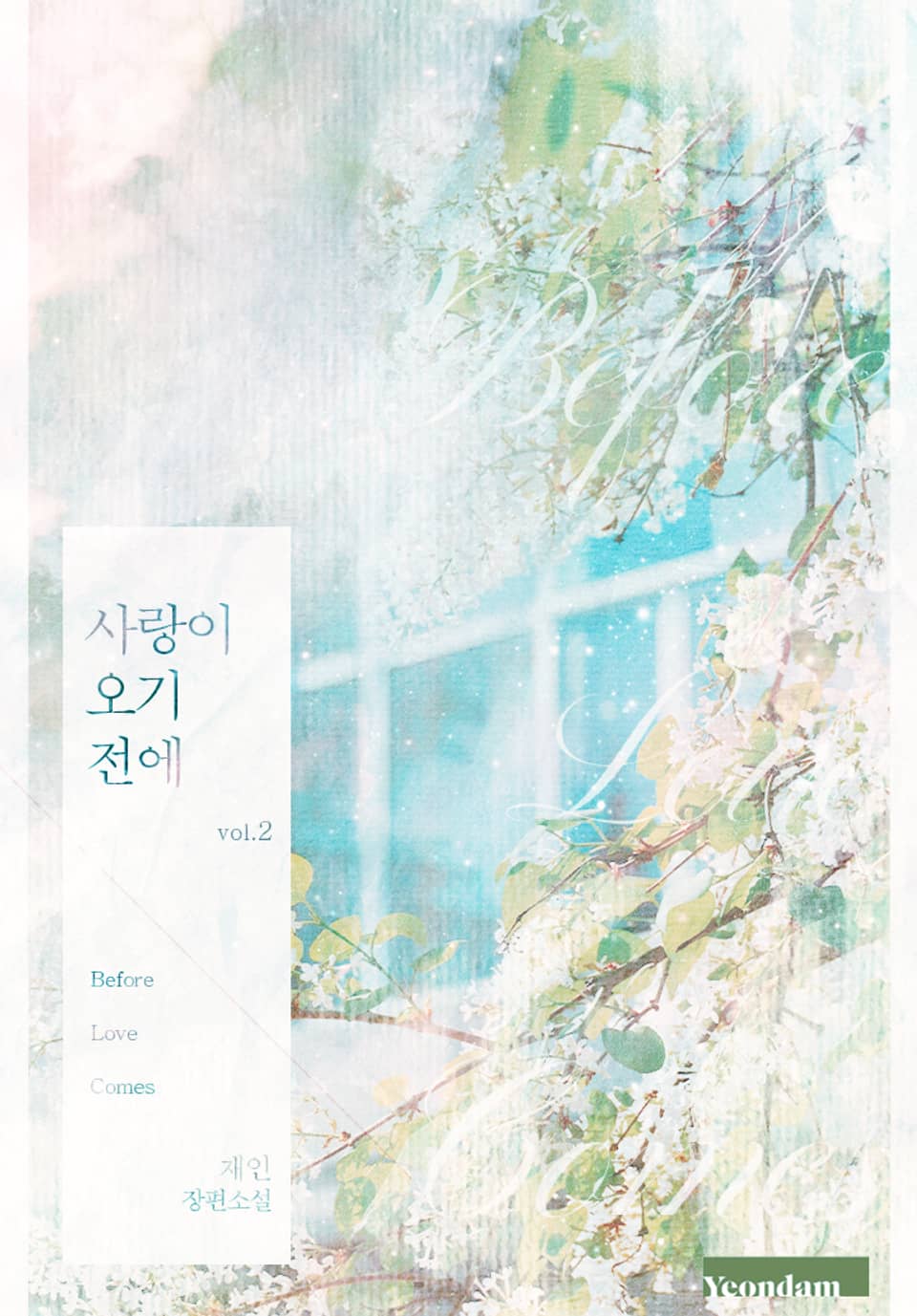 사랑이 오기 전에 2권