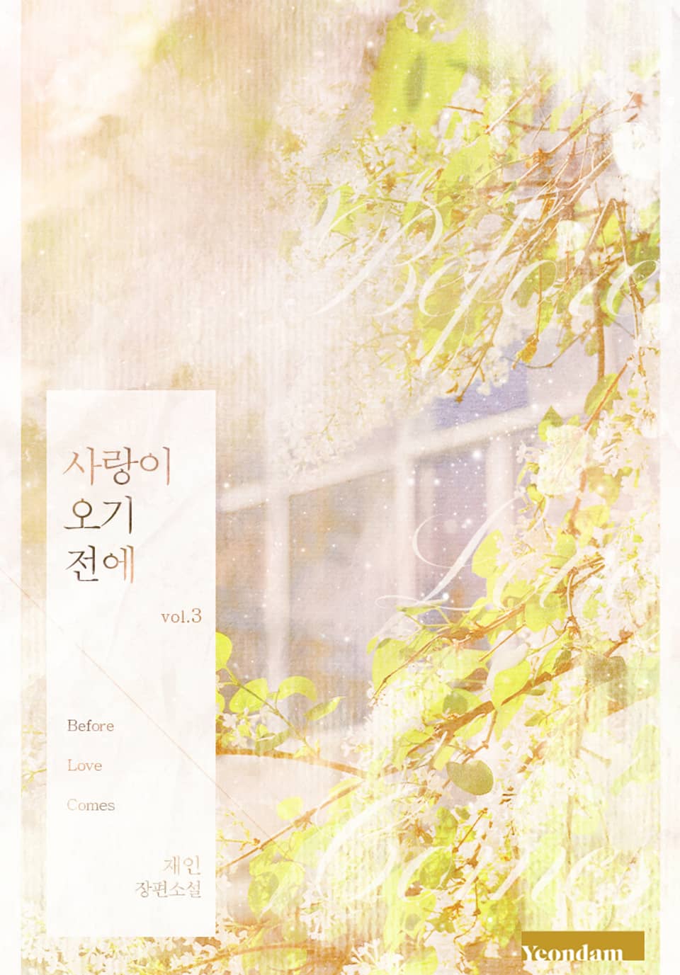 사랑이 오기 전에 3권 (완결)