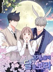 고개를 들어 달을 보라