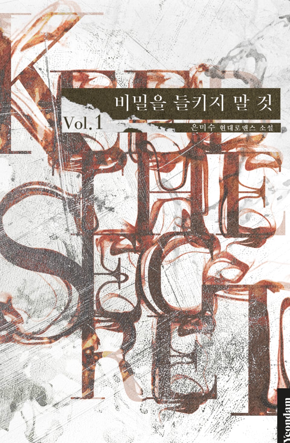 비밀을 들키지 말 것 1권