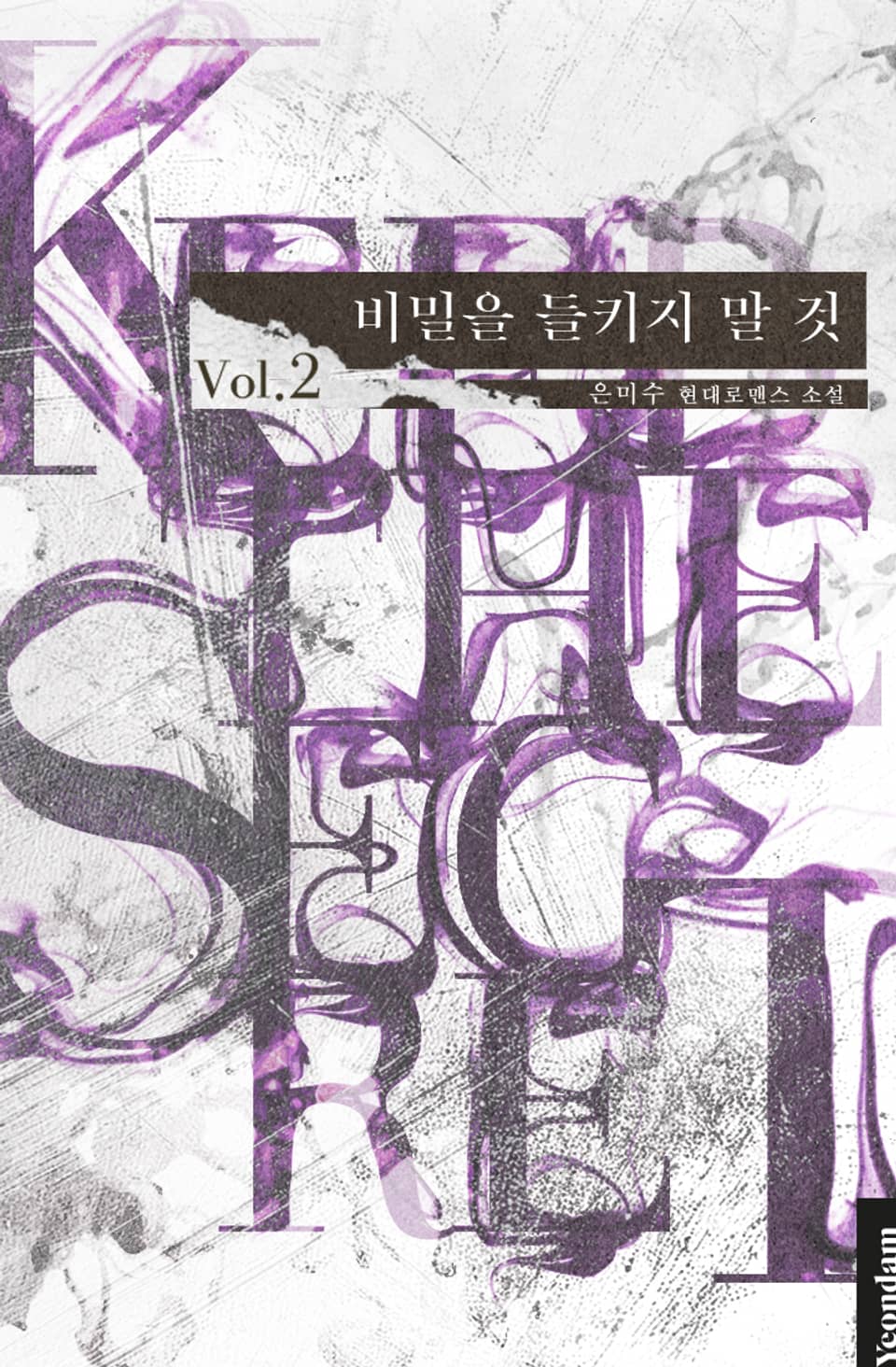 비밀을 들키지 말 것 2권