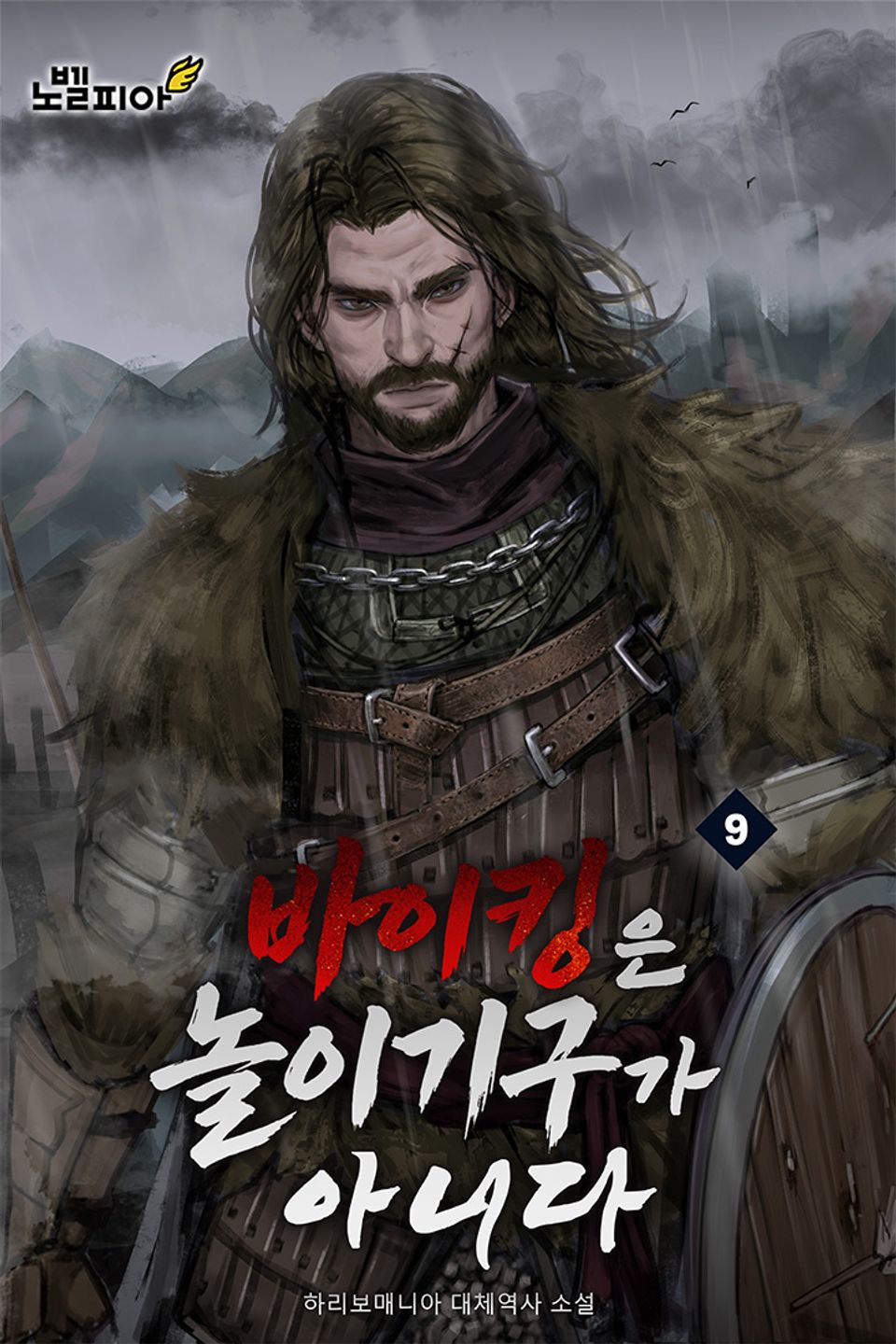 바이킹은 놀이기구가 아니다 9권