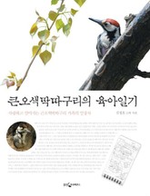 큰 오색 딱따구리의 육아일기 표지 이미지