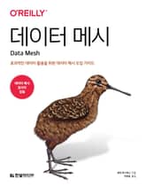 데이터 메시 표지 이미지