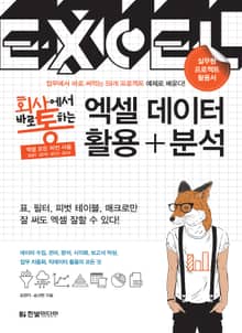 회사에서 바로 통하는 엑셀 데이터 활용+분석