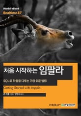 [리얼타임] 처음 시작하는 임팔라 : SQL로 하둡을 다루는 가장 쉬운 방법 표지 이미지